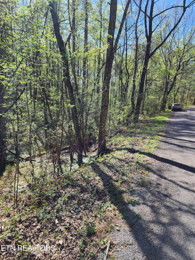 450 Butler Rd, Decatur, TN 37322 - photo 3