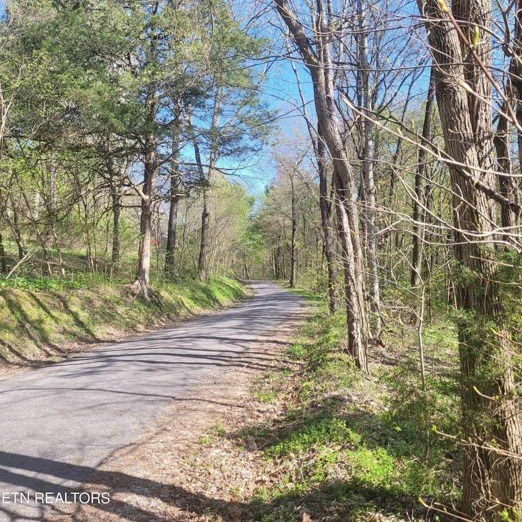 450 Butler Rd, Decatur, TN 37322 - photo 4