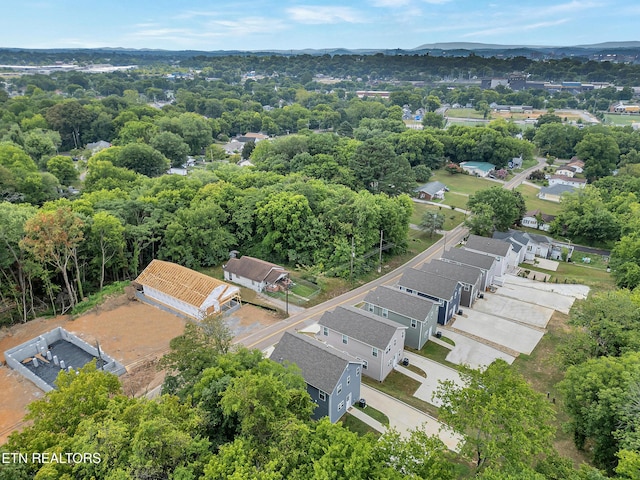 3429 Gap Rd, Knoxville, TN 37921 - photo 33