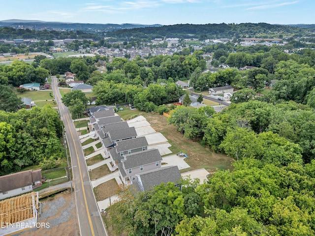3429 Gap Rd, Knoxville, TN 37921 - photo 37