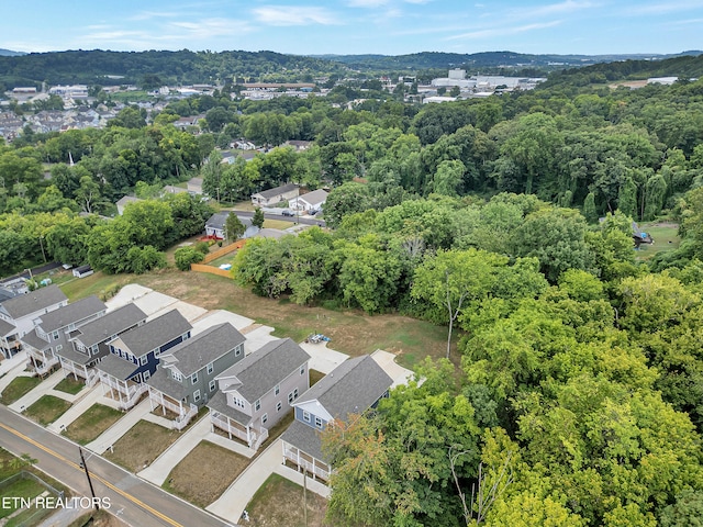 3429 Gap Rd, Knoxville, TN 37921 - photo 36