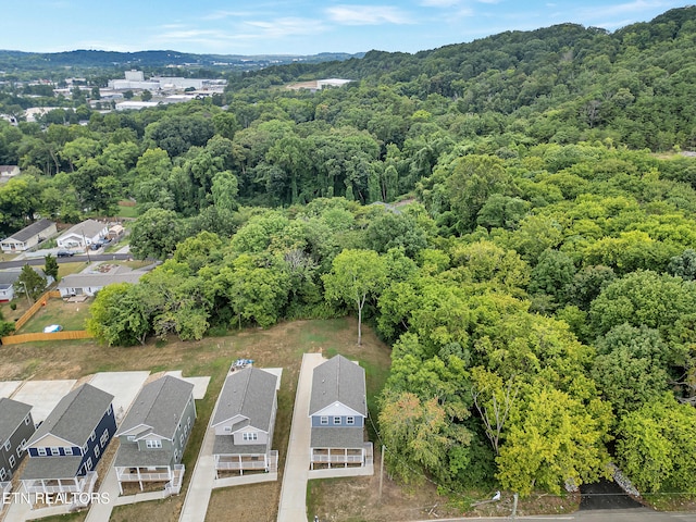 3429 Gap Rd, Knoxville, TN 37921 - photo 34