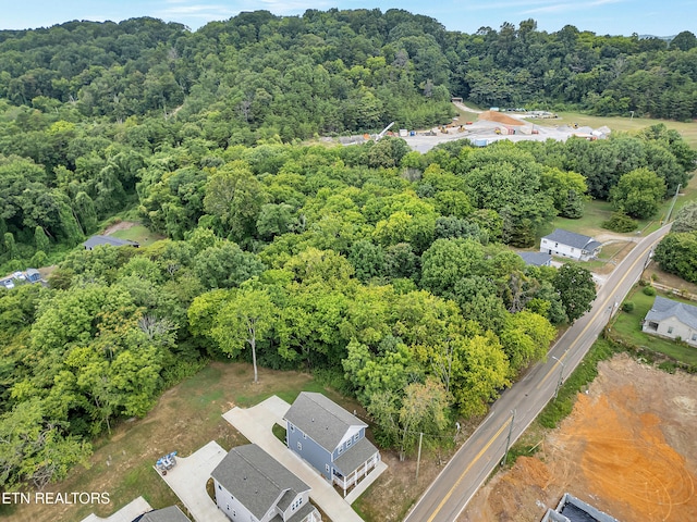 3429 Gap Rd, Knoxville, TN 37921 - photo 35