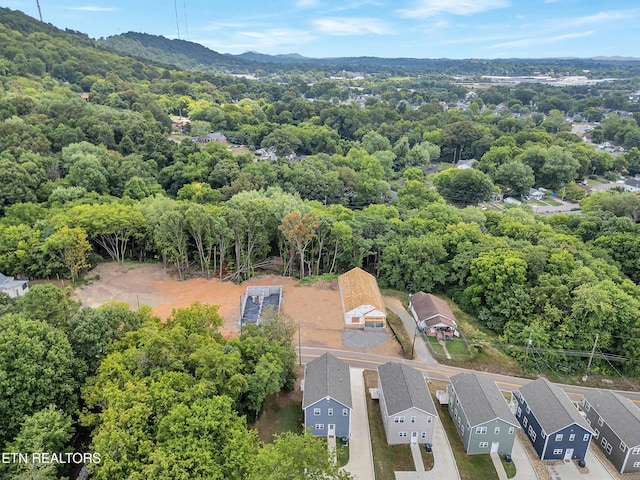 3429 Gap Rd, Knoxville, TN 37921 - photo 38