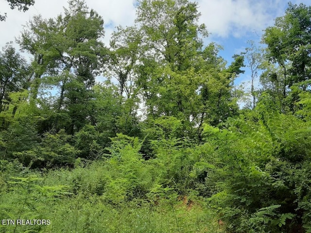 2036 Ridge Rd Unit 16, Pigeon Forge, TN 37863 - photo 1