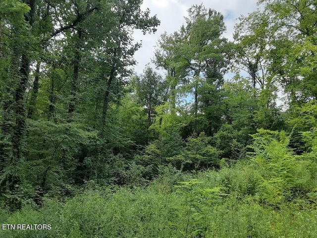 2036 Ridge Rd Unit 16, Pigeon Forge, TN 37863 - photo 2