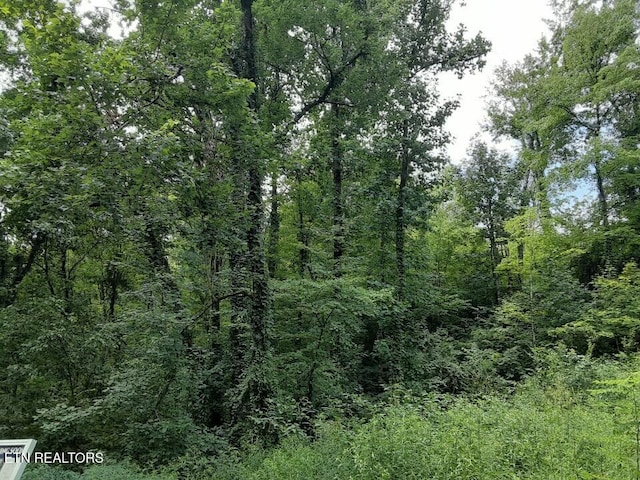 2036 Ridge Rd Unit 16, Pigeon Forge, TN 37863 - photo 3