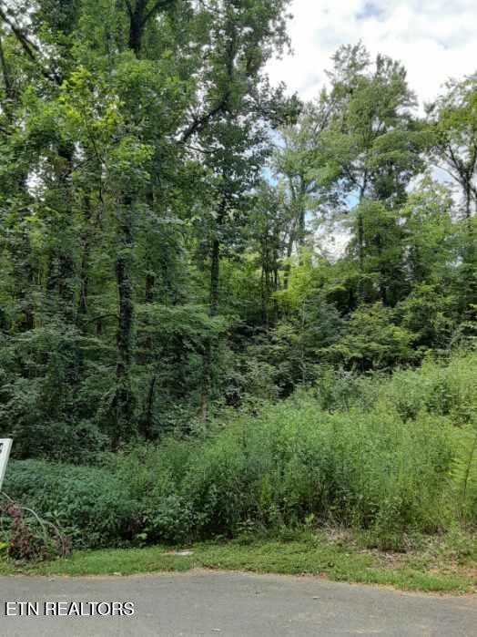 2036 Ridge Rd Unit 16, Pigeon Forge, TN 37863 - photo 4