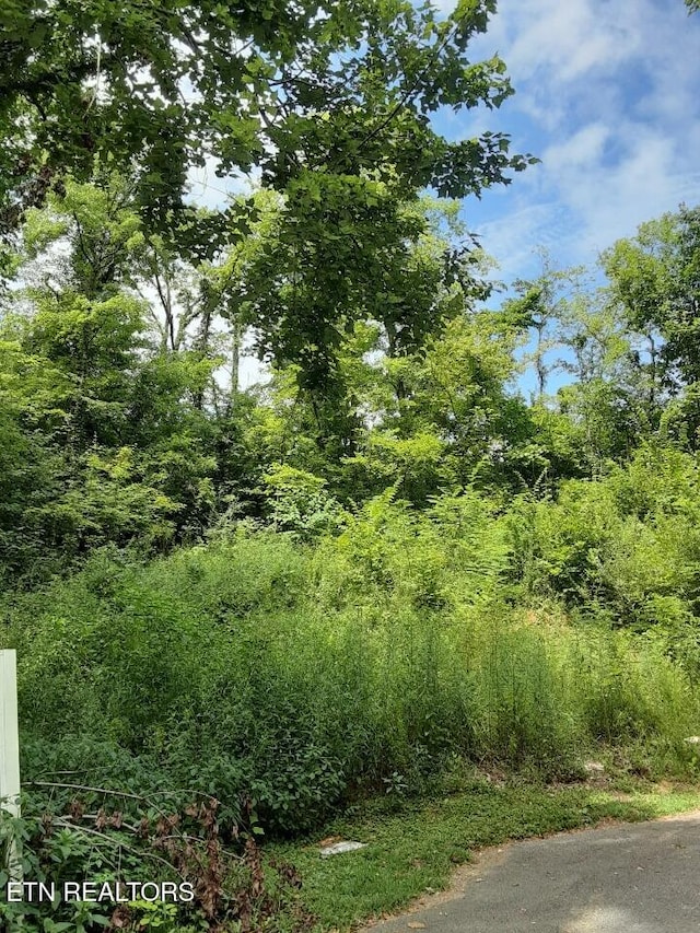 2036 Ridge Rd Unit 16, Pigeon Forge, TN 37863 - photo 5