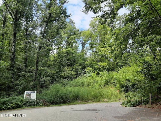2036 Ridge Rd Unit 16, Pigeon Forge, TN 37863 - photo 8