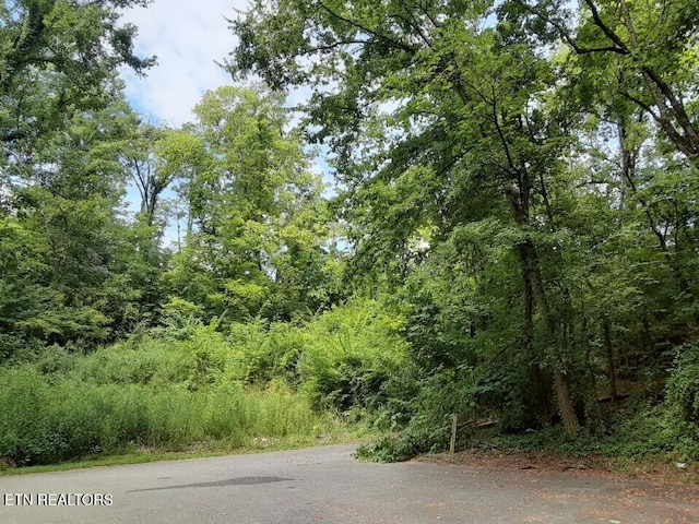 2036 Ridge Rd Unit 16, Pigeon Forge, TN 37863 - photo 10