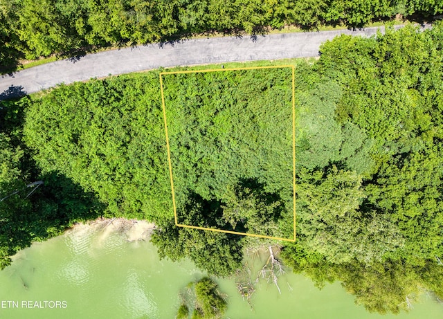 LOT11 Sanctuary Shores Way, Sevierville, TN 37876 - photo 2