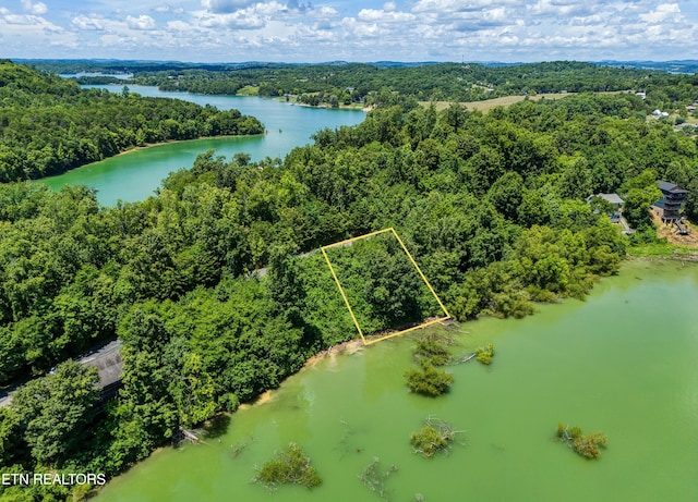 LOT11 Sanctuary Shores Way, Sevierville, TN 37876 - photo 1