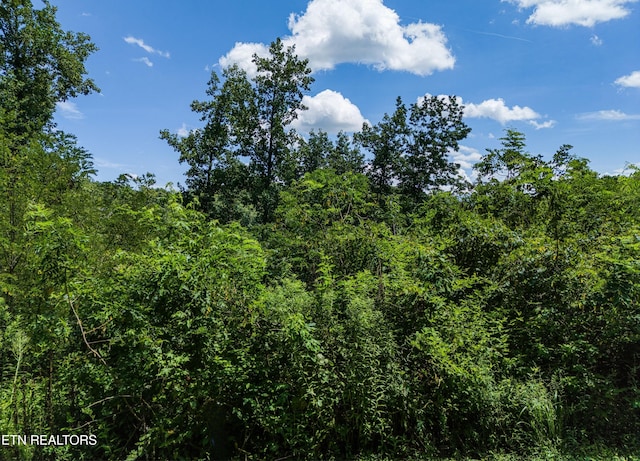 LOT11 Sanctuary Shores Way, Sevierville, TN 37876 - photo 3