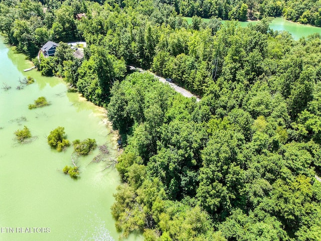 LOT11 Sanctuary Shores Way, Sevierville, TN 37876 - photo 4