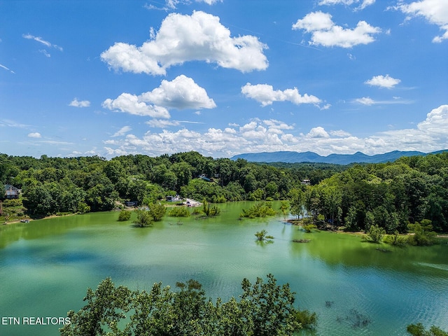 LOT11 Sanctuary Shores Way, Sevierville, TN 37876 - photo 5