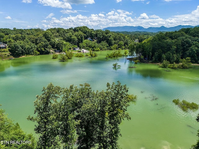 LOT11 Sanctuary Shores Way, Sevierville, TN 37876 - photo 6