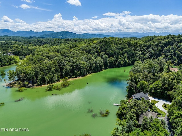 LOT11 Sanctuary Shores Way, Sevierville, TN 37876 - photo 7