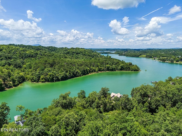 LOT11 Sanctuary Shores Way, Sevierville, TN 37876 - photo 9