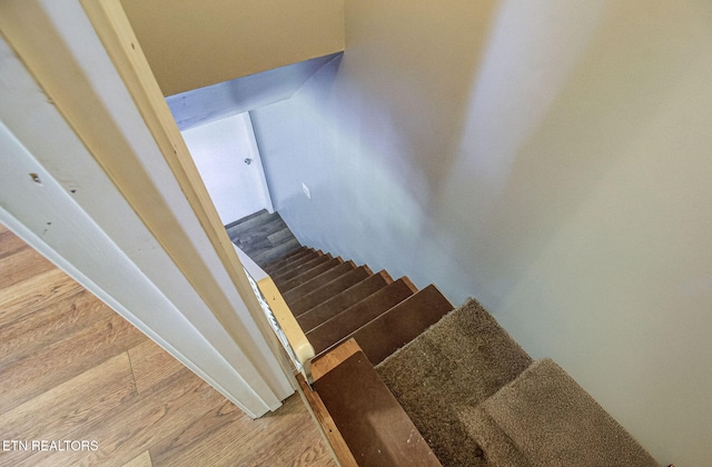5312 Mohawk Dr, Knoxville, TN 37914 - photo 32
