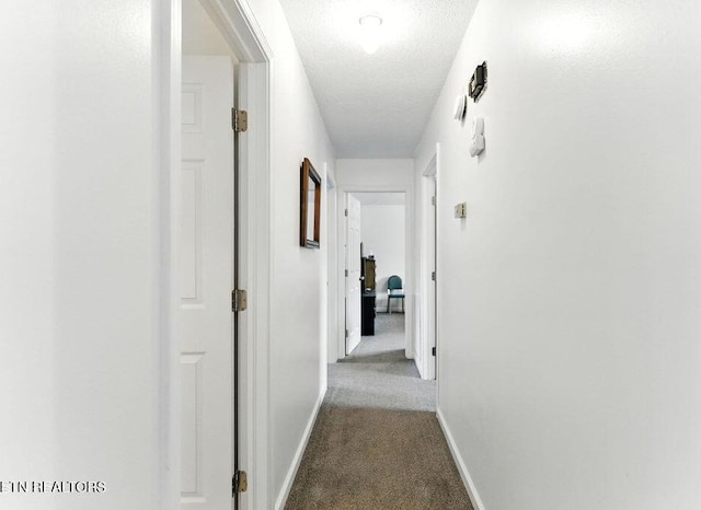 1533 Marconi Dr, Knoxville, TN 37909 - photo 9