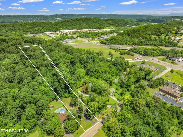 4403 Valley View Dr, Knoxville, TN 37917 - photo 33
