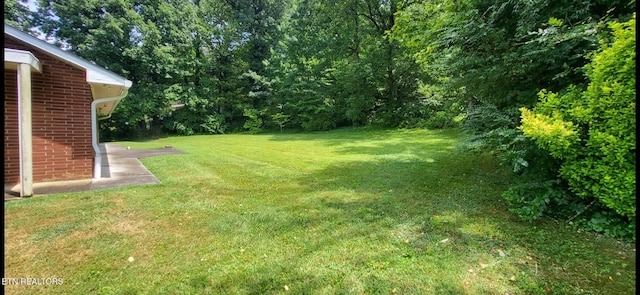 2904 Ginn Dr, Knoxville, TN 37920 - photo 4