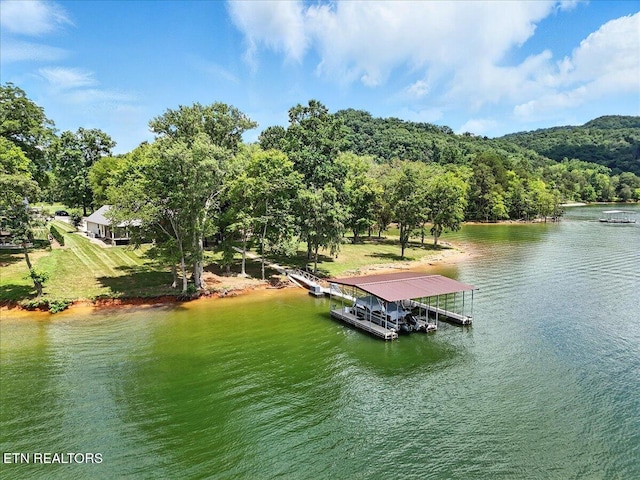 243 Walnut Bend Dr, Whitesburg, TN 37891 - photo 7