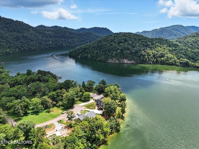 243 Walnut Bend Dr, Whitesburg, TN 37891 - photo 50