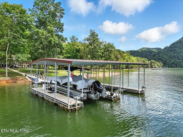 243 Walnut Bend Dr, Whitesburg, TN 37891 - photo 8