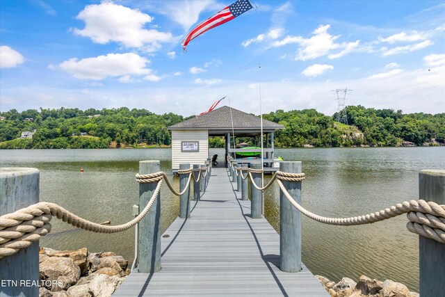 3738 Edgewater Way, Louisville, TN 37777 - photo 44