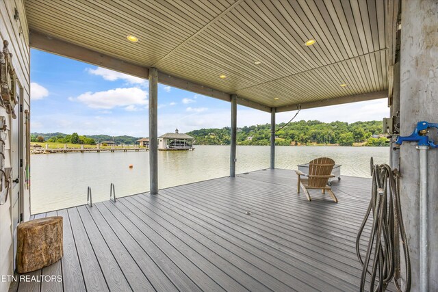 3738 Edgewater Way, Louisville, TN 37777 - photo 45