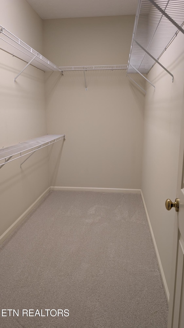 18 Rivers Ct, Oak Ridge, TN 37830 - photo 11