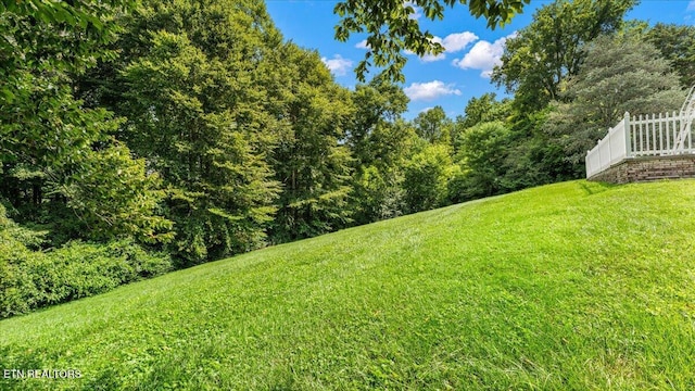 6309 Mountain Laurel Rd, Knoxville, TN 37924 - photo 43