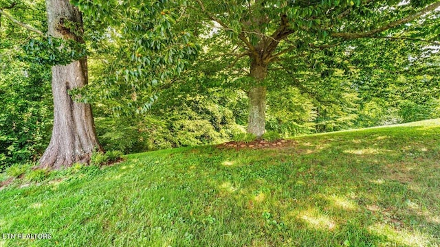 6309 Mountain Laurel Rd, Knoxville, TN 37924 - photo 44