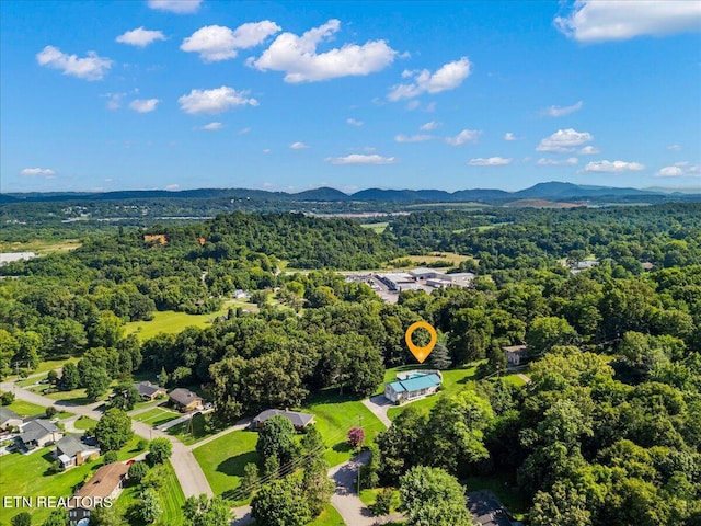 6309 Mountain Laurel Rd, Knoxville, TN 37924 - photo 45