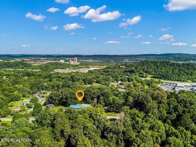 6309 Mountain Laurel Rd, Knoxville, TN 37924 - photo 46