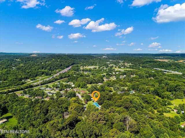 6309 Mountain Laurel Rd, Knoxville, TN 37924 - photo 47
