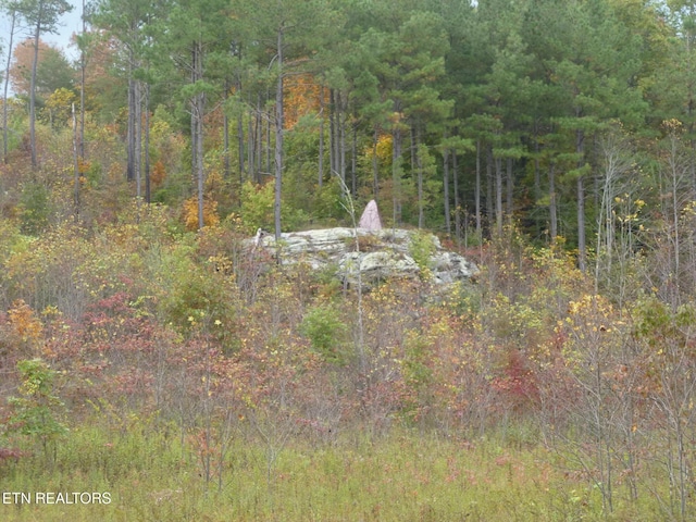 899 Flat Rock Rd, Crossville, TN 38572 - photo 29