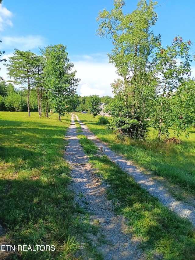 899 Flat Rock Rd, Crossville, TN 38572 - photo 34