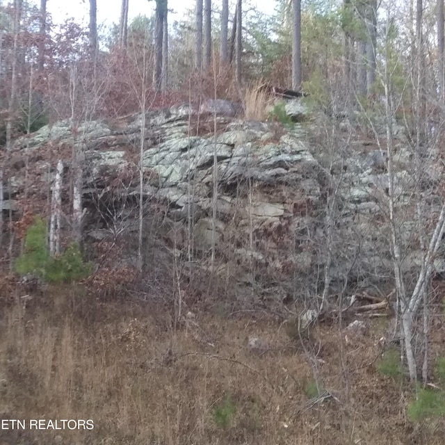 899 Flat Rock Rd, Crossville, TN 38572 - photo 28
