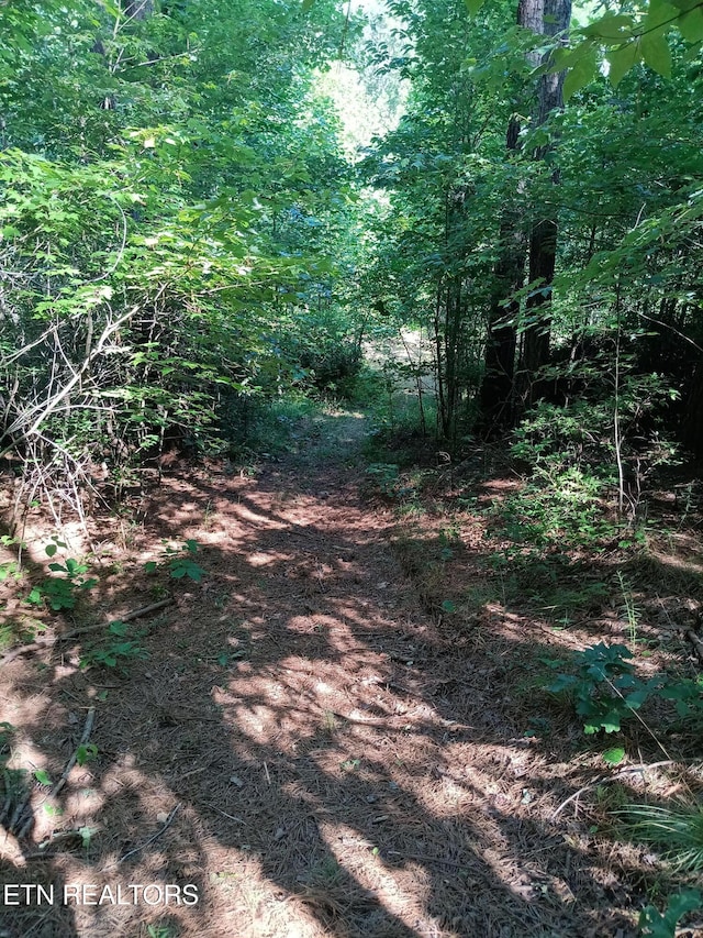 899 Flat Rock Rd, Crossville, TN 38572 - photo 25