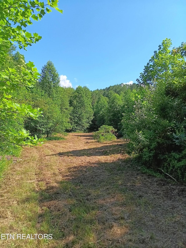 899 Flat Rock Rd, Crossville, TN 38572 - photo 7