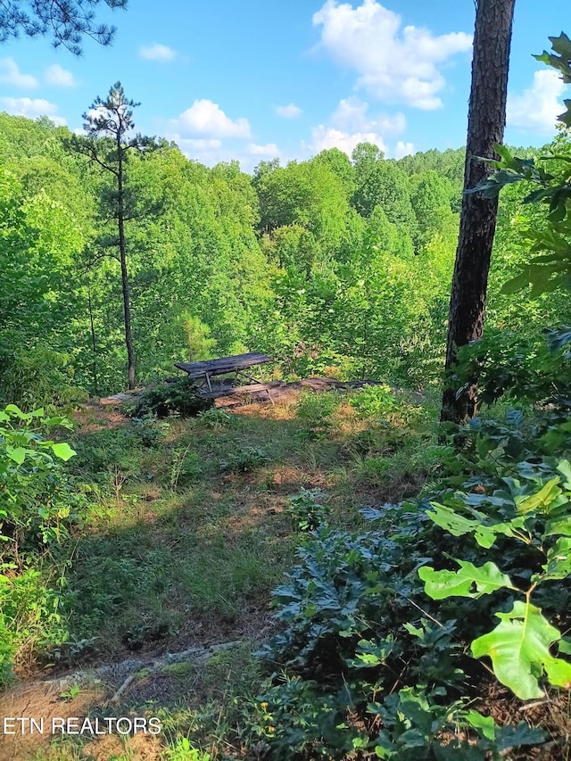 899 Flat Rock Rd, Crossville, TN 38572 - photo 5
