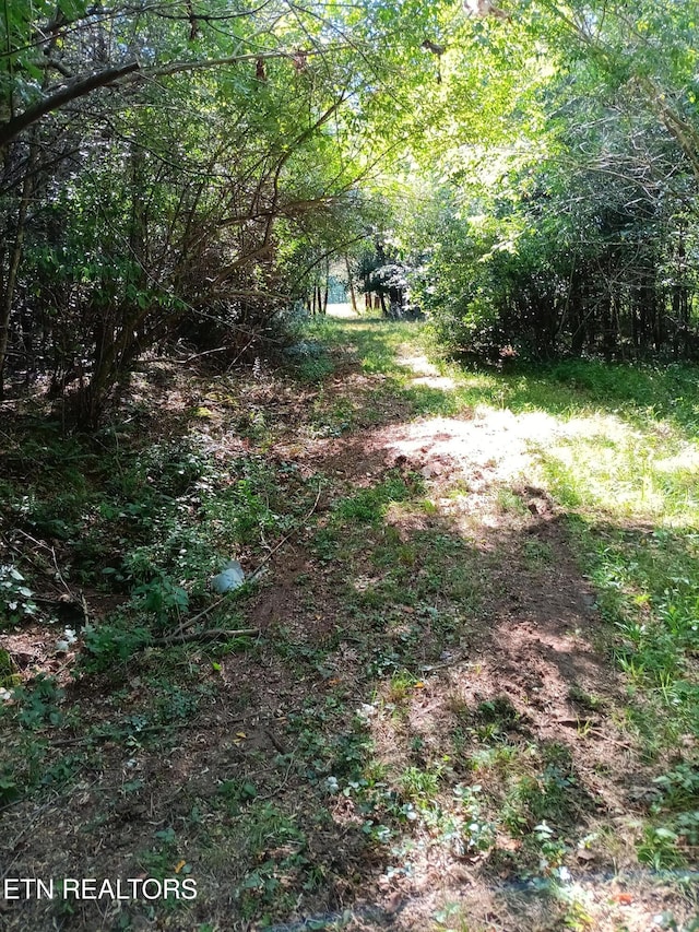 899 Flat Rock Rd, Crossville, TN 38572 - photo 6