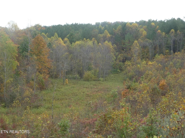 899 Flat Rock Rd, Crossville, TN 38572 - photo 26