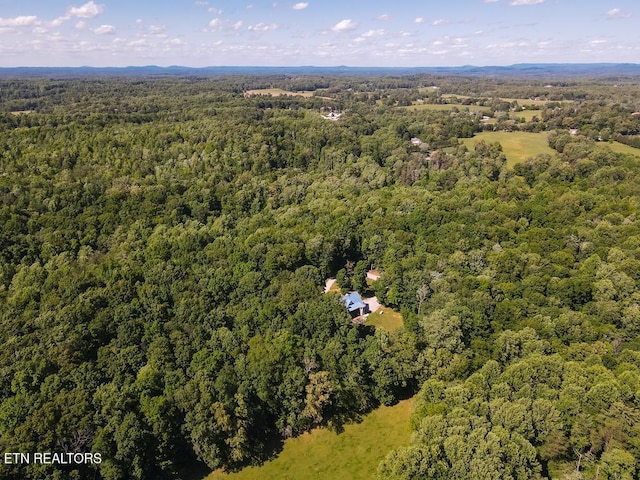 3390 Gra Mar Dr, Cookeville, TN 38506 - photo 44
