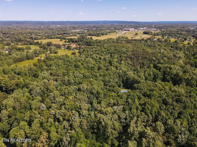 3390 Gra Mar Dr, Cookeville, TN 38506 - photo 45