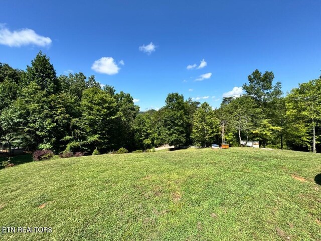 3136 Roy Hancock Rd, Maryville, TN 37803 - photo 5