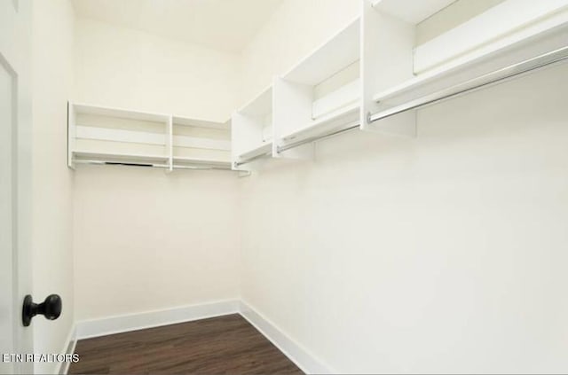 2226 Riverside Dr, Knoxville, TN 37915 - photo 11